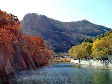 澳彩资料免费长期公开，浪漫雪加盟